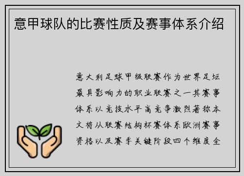 意甲球队的比赛性质及赛事体系介绍